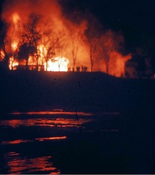 Dahl House fire (6)