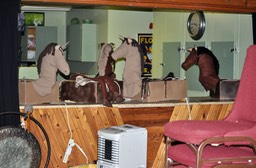 FB Horses on the counter