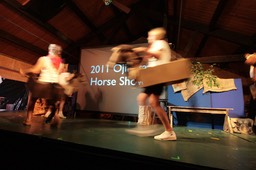 GCO 7048 Horse show 1 blurry
